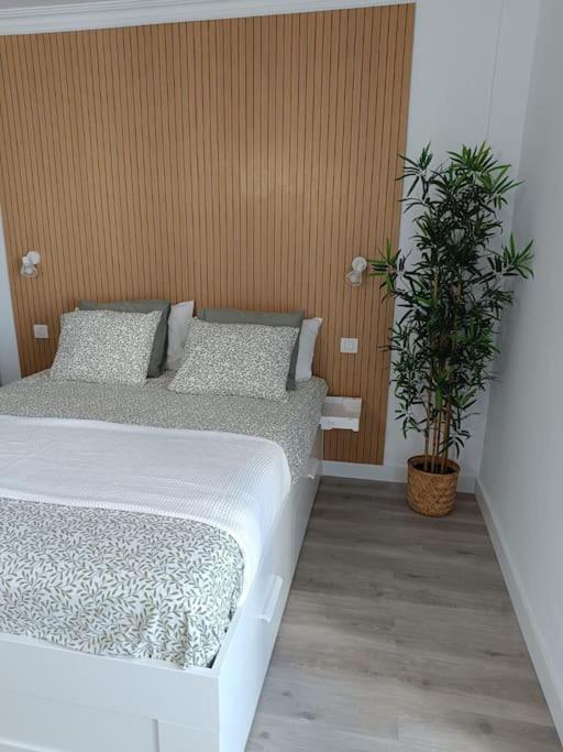 Estudio Girasol Puerto de la Cruz  Eksteriør billede